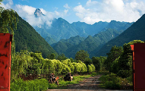 玄关画开门见山风水好吗，最旺入门玄关效果图