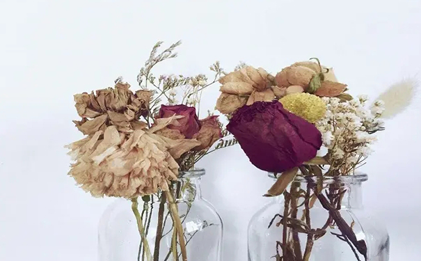 家里放干花的风水，干花为啥不吉利