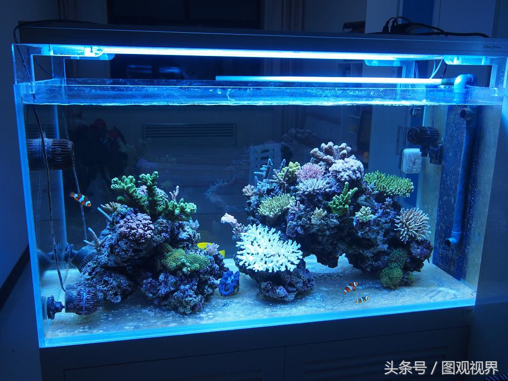 玄关柜风水摆件前十名，辟邪最厉害的10种东西