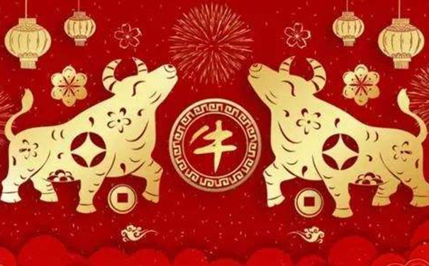 属狗白天还是晚上好属了猪,属狗几点出生最苦 属狗白天还是晚上好属了猪,属狗几点出生最苦