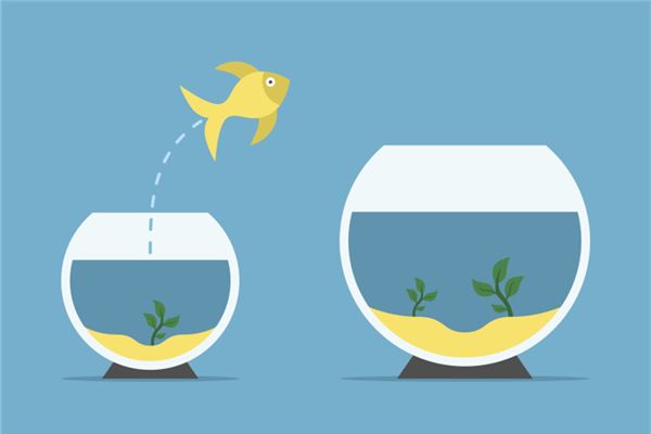 家庭养鱼风水讲究视频，室内养鱼的风水学