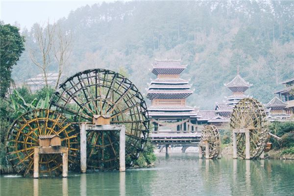 风水轮有作用吗，芦荟风水大忌