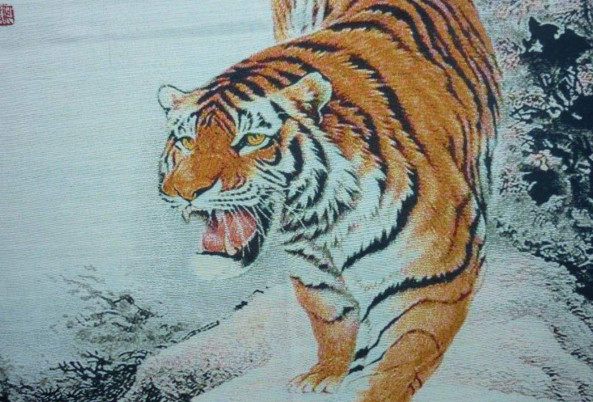 虎年下山虎和上山虎的区别,算命说的下山虎是什么意思 虎年下山虎和上山虎的区别,算命说的下山虎是什么意思