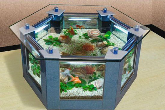 鱼缸摆放风水有什么讲究吗,家中摆鱼缸风水禁忌 鱼缸摆放风水有什么讲究吗,家中摆鱼缸风水禁忌