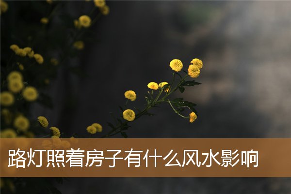 路灯照着房子的风水,外面的路灯照进家里好吗 路灯照着房子的风水,外面的路灯照进家里好吗