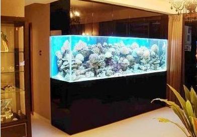 鱼缸在客厅的摆放位置风水，客厅鱼缸的最佳摆放图