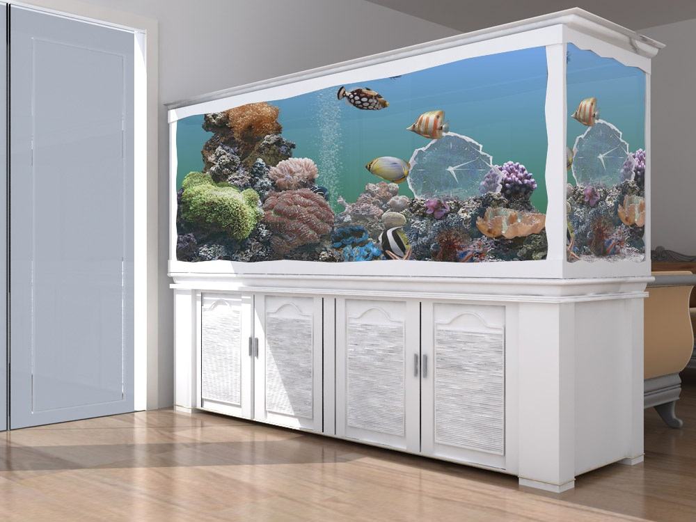 风水鱼缸里面放什么，入户门进门看见鱼缸好吗