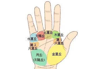 算命看手相是男左女右吗，7种手相暗示大富大贵