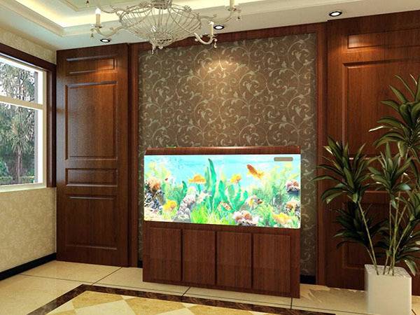 鱼缸对门摆放好吗风水，入户门进门看见鱼缸好吗