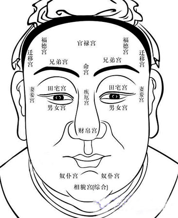 面相图解脸型看命运,面部风水学基础知识 面相图解脸型看命运,面部风水学基础知识