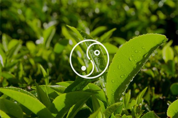 风水阵法有哪些详解，奇门遁甲阵法大全