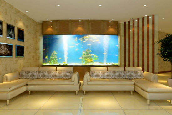 鱼缸摆放风水有什么讲究吗,家中摆鱼缸风水禁忌 鱼缸摆放风水有什么讲究吗,家中摆鱼缸风水禁忌