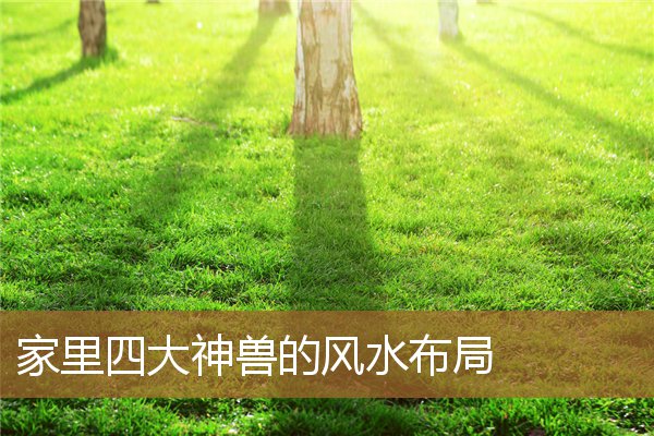 风水中的四大神兽，四大神兽镇宅怎么摆放