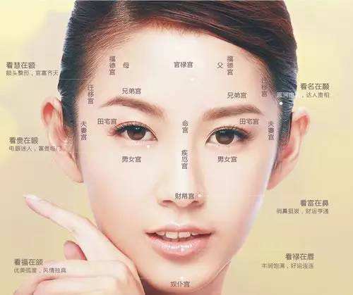 额头面相算命图解，额头形状面相大全