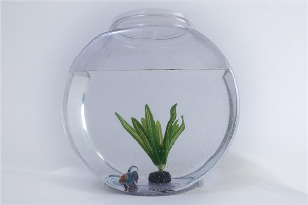 鱼缸漏水会破财吗风水先生，鱼缸裂了流水是吉兆