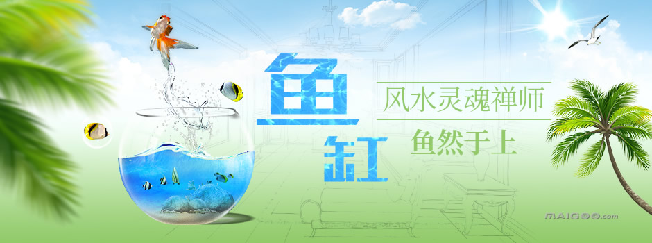 鱼缸摆放位置风水图客厅，客厅鱼缸的最佳摆放图