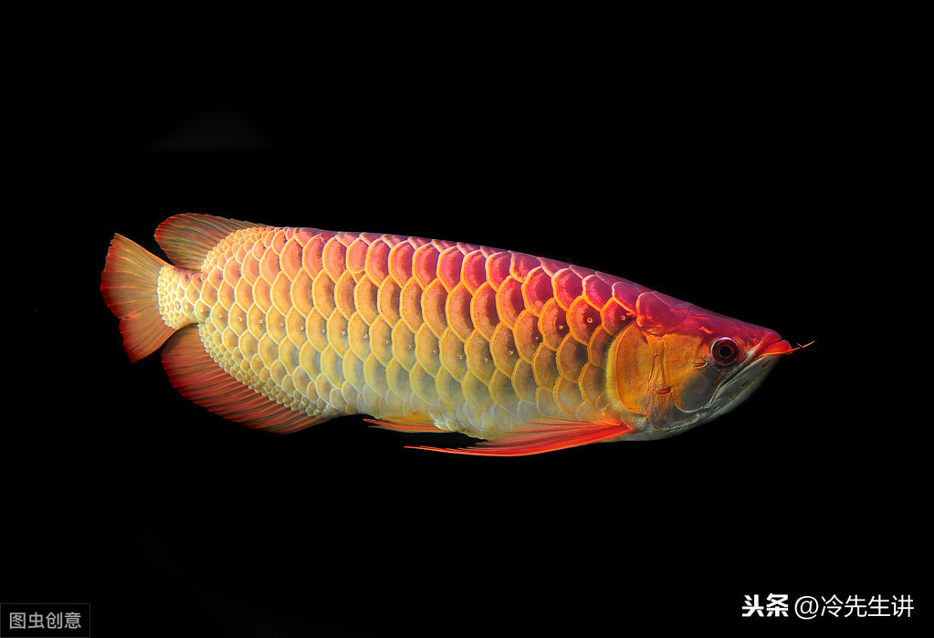 风水入门看什么书好,初学风水入门四本书 风水入门看什么书好,初学风水入门四本书