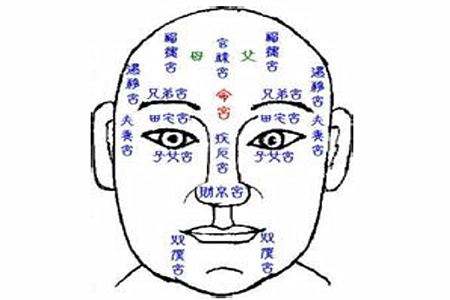 面相算命图解注解大全-图片,方形耳朵的面相 面相算命图解注解大全-图片,方形耳朵的面相