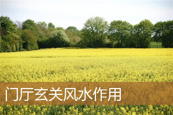 门厅玄关风水作用图，进门玄关风水禁忌讲究