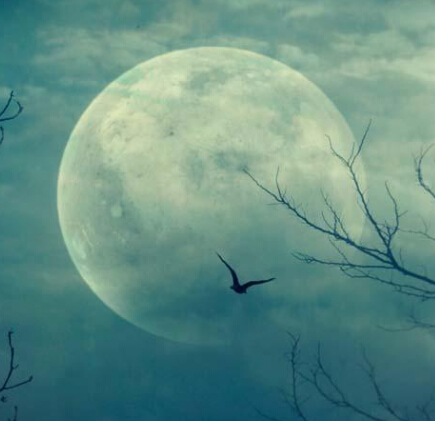 比较盘土星合月亮，月亮最好别和土星有相位