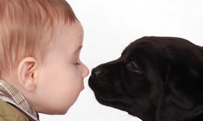 康熙字典18画的字有哪些，18画寓意好的字