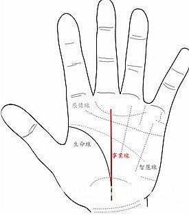 事业线与生命线相交图解，事业线生命线连一起图解