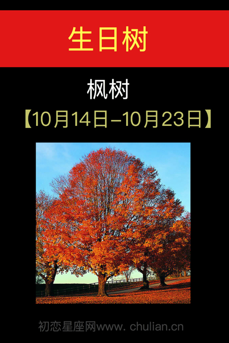 10月10日13点14分，2019年10月14日发生了什么