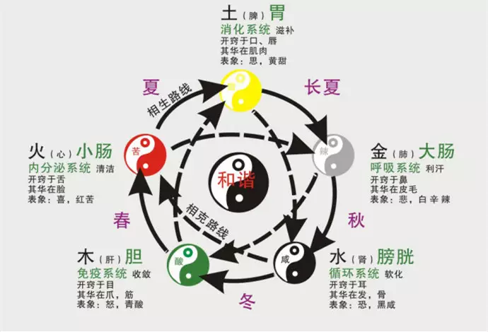 六十甲子五行属什么命,壬辰月五行属什么 六十甲子五行属什么命,壬辰月五行属什么