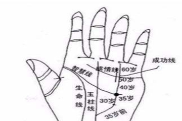 双手断掌的女人好吗，女人双手断掌是什么命运