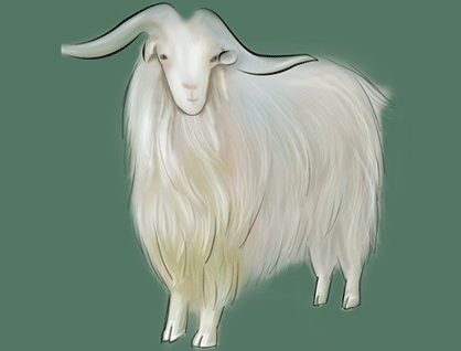 2015年五行属什么命,2015年是金命还是木命 2015年五行属什么命,2015年是金命还是木命