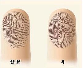 为什么手指没有螺纹，手指螺纹图有几种
