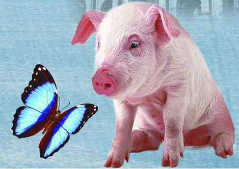 1995年五行属什么命，1995年属猪是火命还是木命