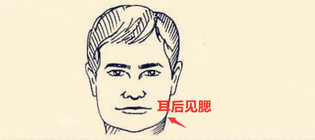 什么是耳后见腮,脑后见腮的女人面相 什么是耳后见腮,脑后见腮的女人面相