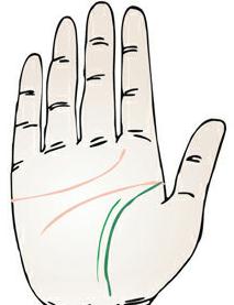 副生命线图解，双生命线就是贵人线吗