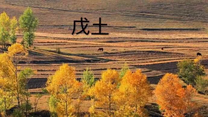 十天干的精华，十天干哪个最强