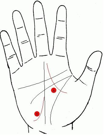 两条命运线交叉,双命运线图解女 两条命运线交叉,双命运线图解女