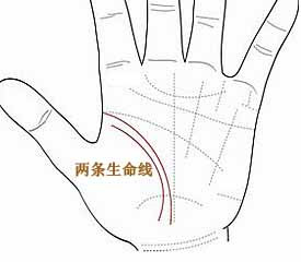 两条生命线是什么意思,双生命线就是贵人线吗 两条生命线是什么意思,双生命线就是贵人线吗