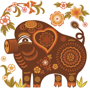 2007年五行属什么命，2007年为什么叫金猪