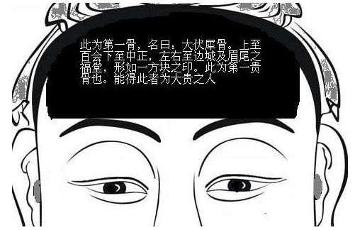 什么是伏犀骨，伏犀贯顶是什么意思