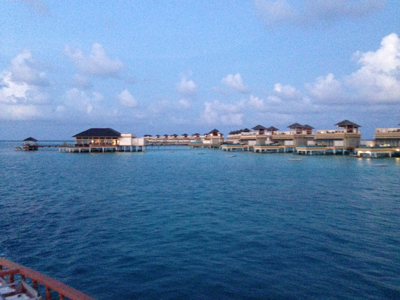 壬水生亥月命理用神，壬生亥月怎样才是富贵命