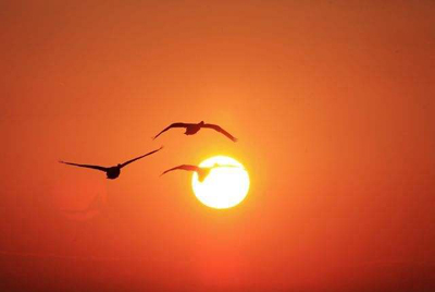 八字之四柱排法怎么排，最全的四柱八字排法