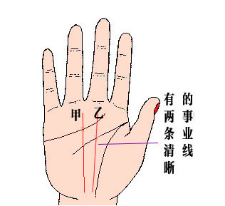 两条事业线的男人,女性有双重事业线 两条事业线的男人,女性有双重事业线