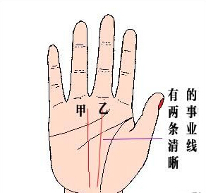 两条事业线代表了什么意思，事业线两条合为一条