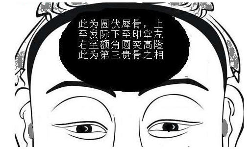 什么是伏犀骨，伏犀贯顶是什么意思