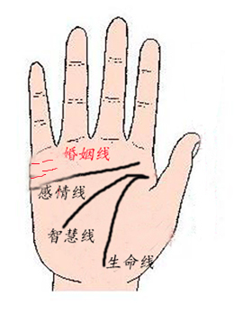 女人婚姻线图解大全，婚姻线分叉20种图解