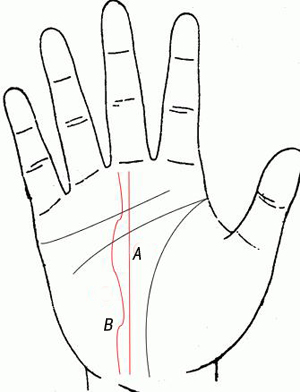 命运线图解女右手,生命线分叉20种图解 命运线图解女右手,生命线分叉20种图解