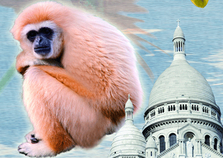 1992年五行属什么命，1992年属猴是金命吗