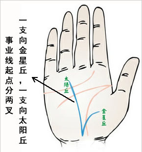命运线末端分叉图解,生命线分叉20种图解 命运线末端分叉图解,生命线分叉20种图解