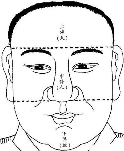 从天庭发髻看人的运气如何,发髻高的人图片 从天庭发髻看人的运气如何,发髻高的人图片