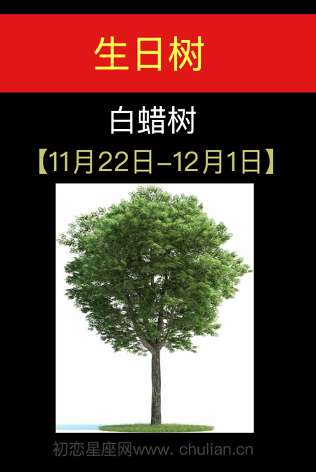 12月01日-12月31日，11月22号是什么日子